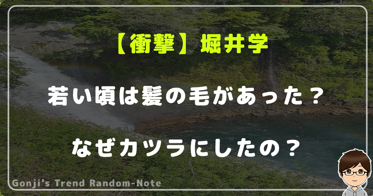 【衝撃】堀井学の若い頃は髪の毛があった？なぜカツラにしたの？