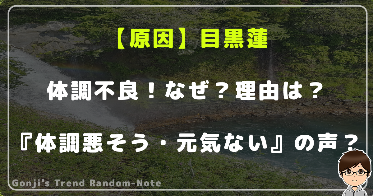 【【原因】目黒蓮が体調不良で活動休止！なぜ？理由は？『体調悪そう』『元気ない』との声も！？