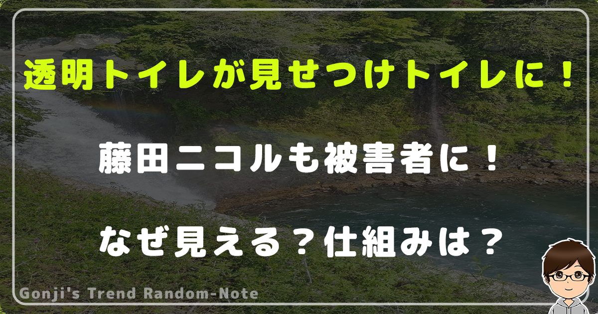 透明トイレが見せつけトイレに！藤田ニコルも被害者に！なぜ見える？仕組みは？